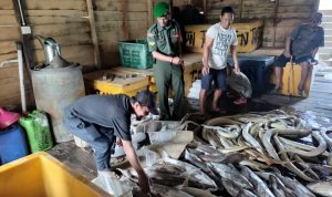 Kosmos Dengan Pengepul Ikan, Babinsa Sertu Hendry Berikan Motivasi Kosmos Dengan Pengepul Ikan, Babinsa Sertu Hendry Berikan Motivasi