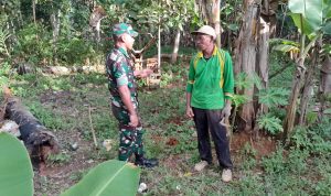 Babinsa Praka Yopi Terus Tingkatkan Komsos Dengan Warga Binaan