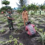 Bersama Dinas Pertanian, Babinsa Serda Suwarno Sambangi Petani Desa Pangkalan