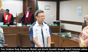 Terdakwa Rudy Dermawan Muliadi Divonis Pidana Penjara 4 Bulan