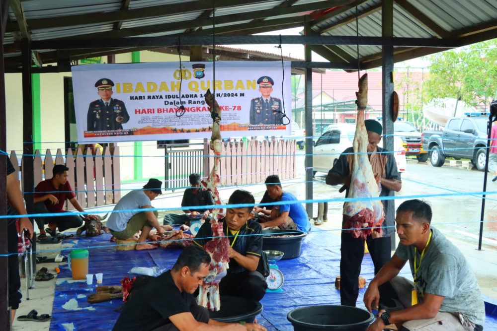 Peringati Idul Adha 1445 H, Polres Natuna Qurban 6 Ekor Sapi Peringati Idul Adha 1445 H, Polres Natuna Qurban 6 Ekor Sapi