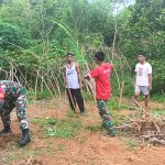 Babinsa Sertu Jimson Lakukan Pendampingan Ketahanan Kepada di wilayah Desa Selaut