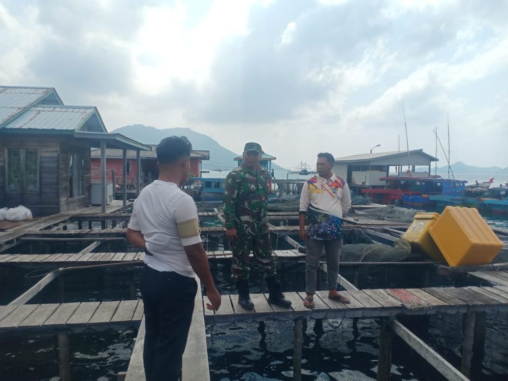 Komsos Dengan Pembudidaya Ikan Air Laut, Serda Eko Sidik Beri Motivasi Komsos Dengan Pembudidaya Ikan Air Laut, Serda Eko Sidik Beri Motivasi