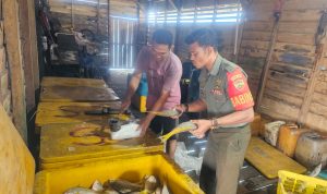 Babinsa Sertu Hendry Jalin Komsos Dengan Penampung Ikan di Desa Air Nusa Babinsa Sertu Hendry Jalin Komsos Dengan Penampung Ikan di Desa Air Nusa