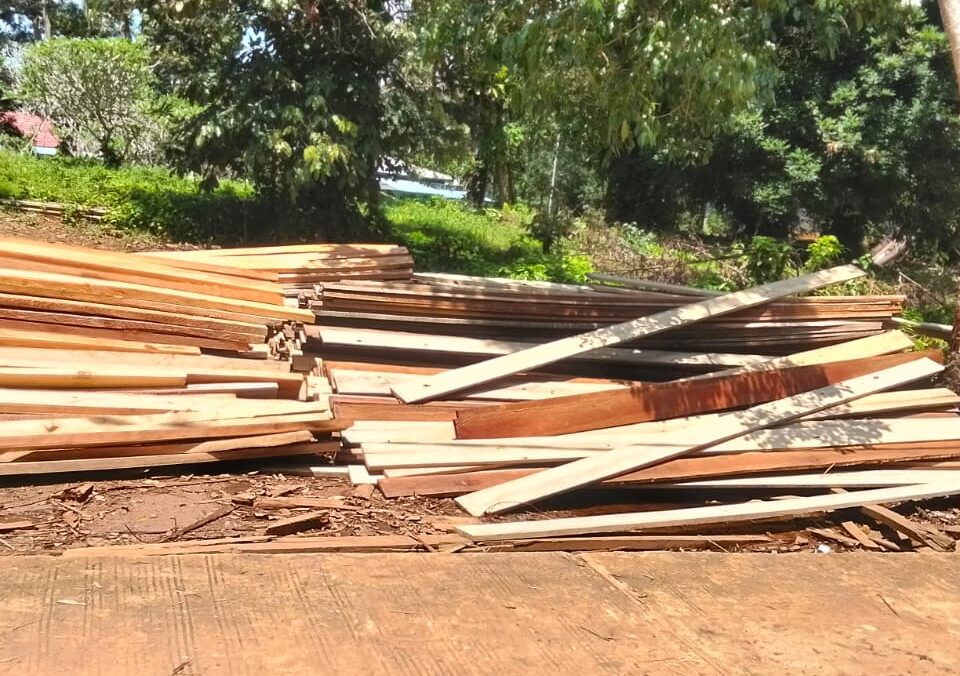 Pembabatan Hutan di Lingga Kian Marak, Kayu Dijual ke Luar Daerah Pembabatan Hutan di Lingga Kian Marak, Kayu Dijual ke Luar Daerah
