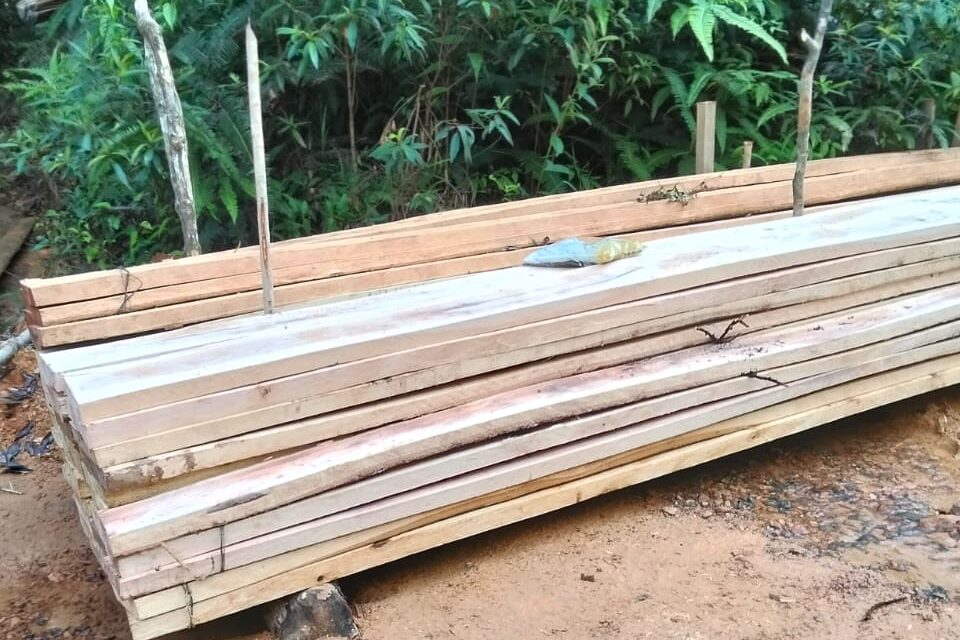 Setelah Disorot Media Ini, Tumpukan Kayu Di Sambau Lingga Mendadak Hilang